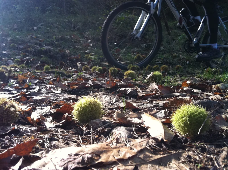 VTT Col du Buisson · Pailharès