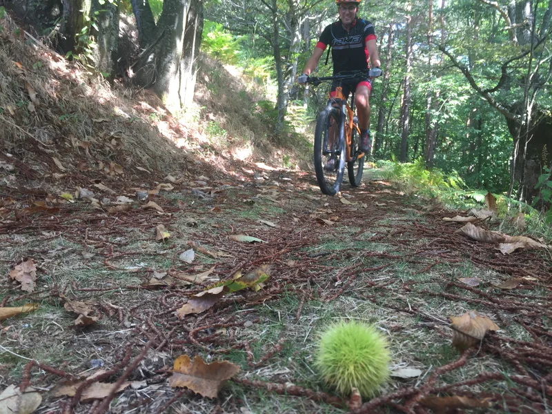 VTT La Saint Régis (Lalouvesc - Sarras difficile) · Lalouvesc
