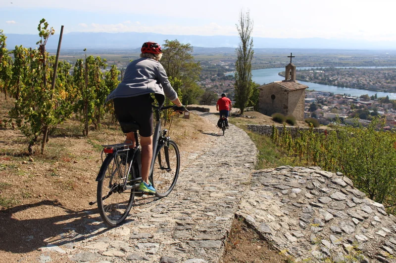 Vélo de route Entre vignes et vergers · Gervans