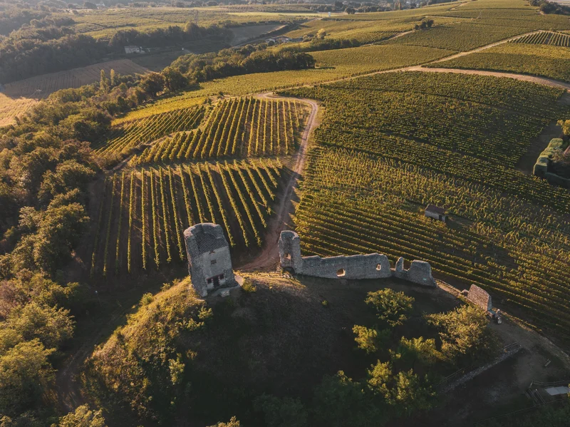 Vélo de route Crozes-Hermitage - Sentier oenotouristique - Détours en vignes · Mercurol-Veaunes