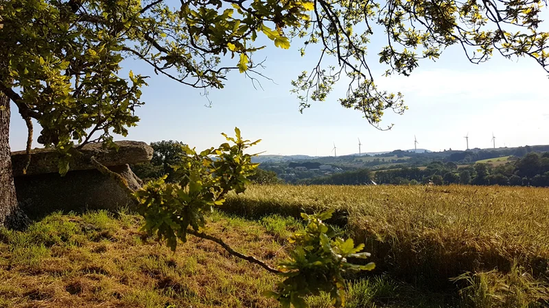 Randonnée Sentier des cimes · Lestrade-et-Thouels