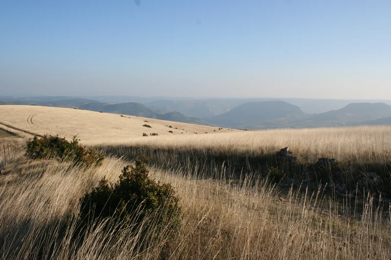 Randonnée Les grands espaces · Sévérac-le-Château