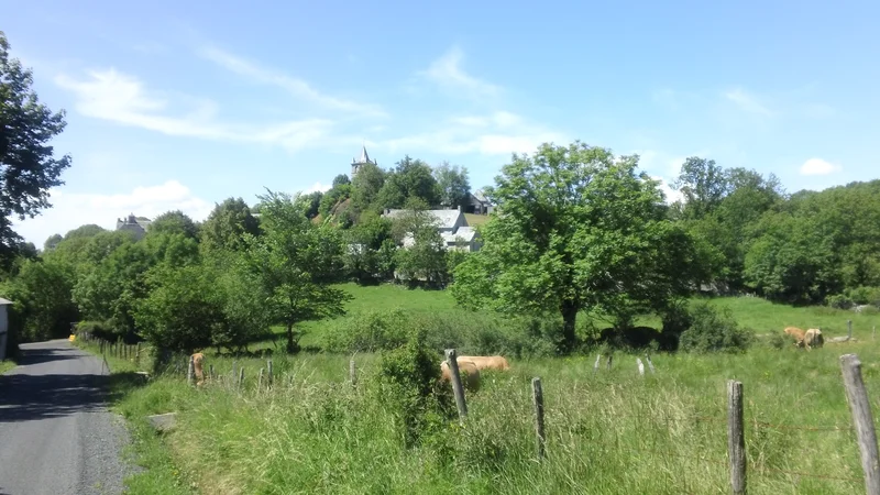 Randonnée La Croix du Moulin · Argences en Aubrac