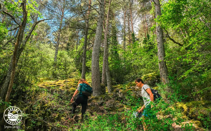 Randonnée La Source du Durzon - Canalettes · Nant