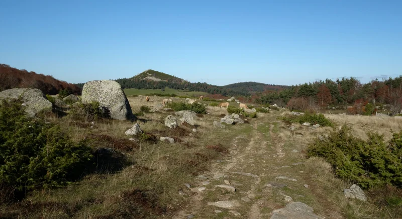 Randonnée GR® de Pays Tour des Monts d'Aubrac : De la Baume à Bonnecombe · Prinsuéjols