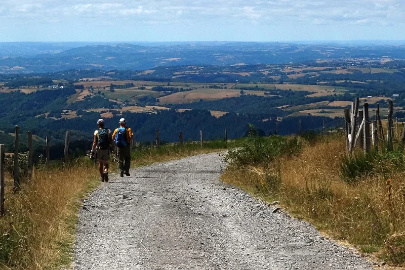 Randonnée GR® de Pays Tour des Monts d'Aubrac : De Bonnecombe à Saint-Chély-d'Aubrac · Les Salces
