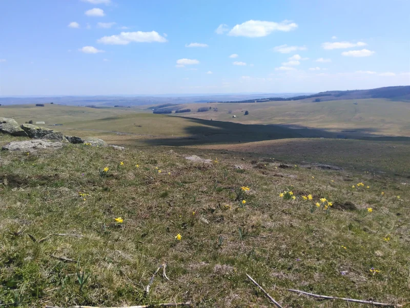 Randonnée GR® de Pays Tour des Monts d'Aubrac : De Laguiole à Saint-Urcize · Laguiole