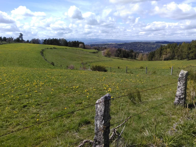 Randonnée GR® de Pays Tour des Monts d'Aubrac : De La Chaldette à Termes · Brion