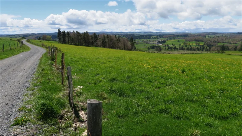 Randonnée GR® de Pays Tour des Monts d'Aubrac : De Termes à Aumont-Aubrac · Termes