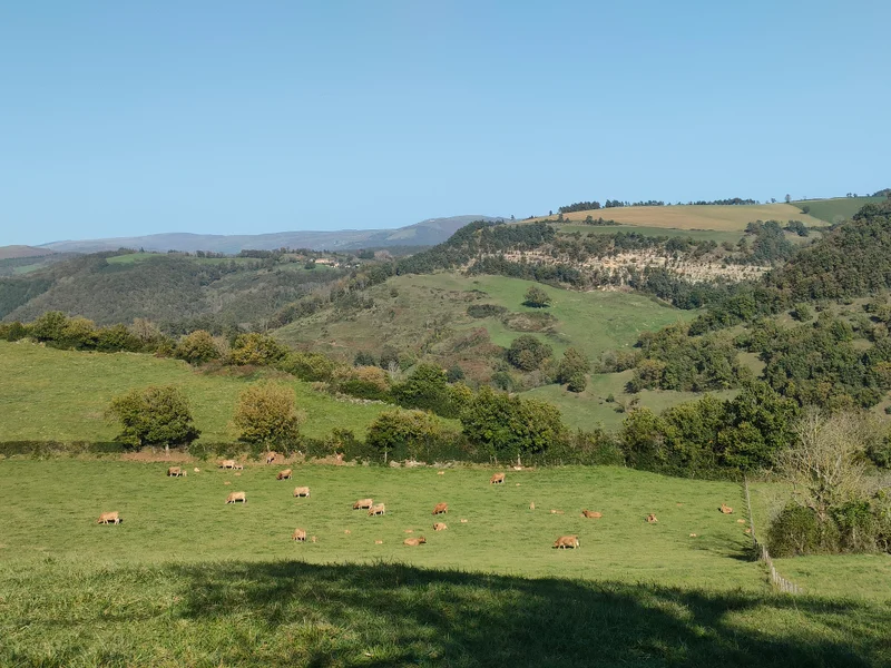 Randonnée Vallée de la Serre · Saint-Saturnin-de-Lenne