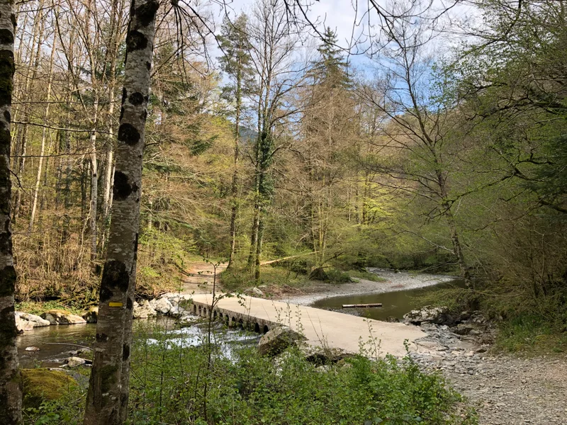 Randonnée Sentier des Deux Hêtres · Brusque