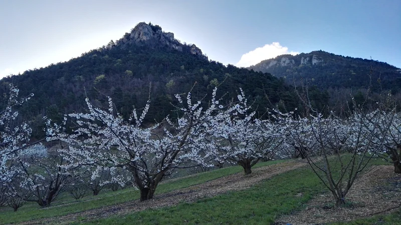 Randonnée Caylus & Font Auzal · La Cresse