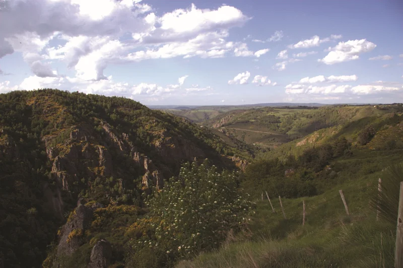 Randonnée D'Albaret aux rives du Bès · Albaret-le-Comtal