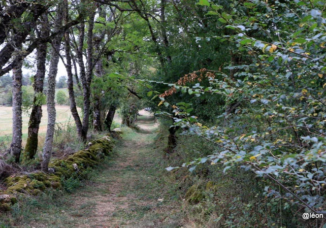 Randonnée Autour du hameau du Gazy · Chanac