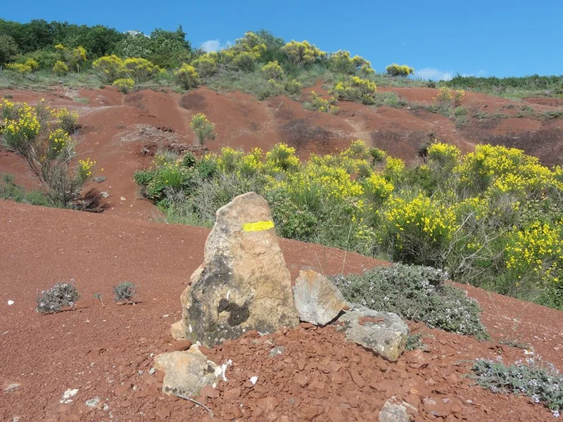 Randonnée Le Rougier au départ de Camarès · Camarès