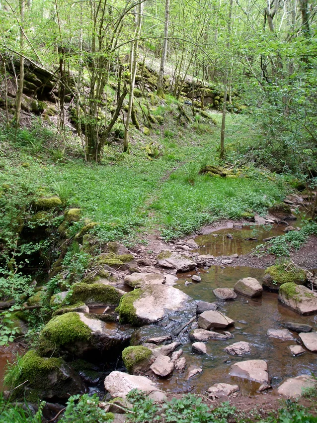 Randonnée Sentier du souvenir · Belmont-sur-Rance
