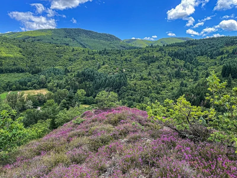 Randonnée Sentier du balcon d'Arnac · Brusque