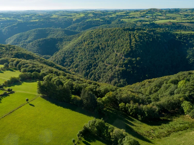 Randonnée Le circuit du Cerf · Castelnau-de-Mandailles