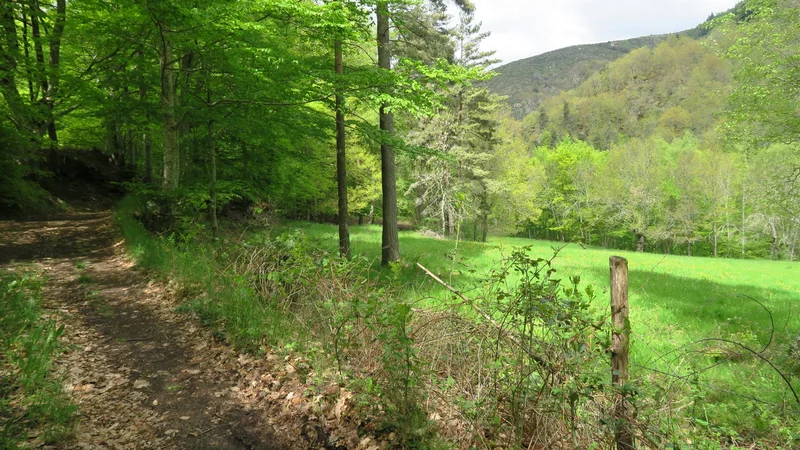 Randonnée Le chemin du Bouchet · Saint-Léger-de-Peyre