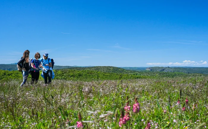 Randonnée Le Tour du Larzac par le GR®71 D · Millau