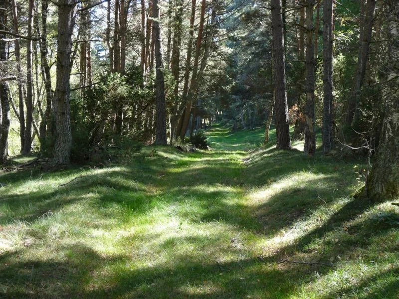 Randonnée La Moulin de la Combe · Jabrun