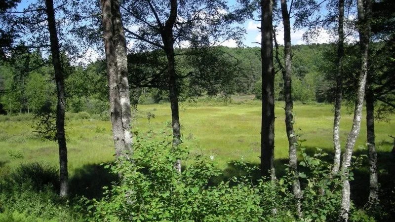 Randonnée Les Mazes · Lieutadès