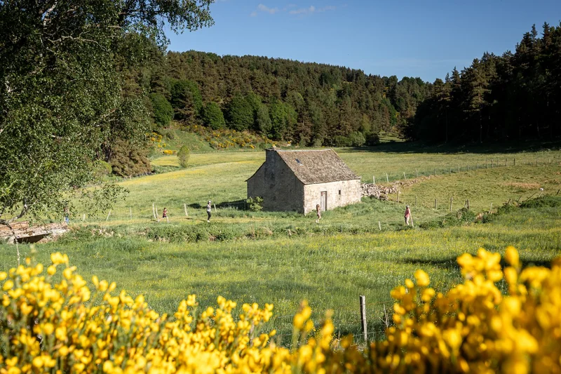 Randonnée Les moulins de Beauregard · Peyre en Aubrac