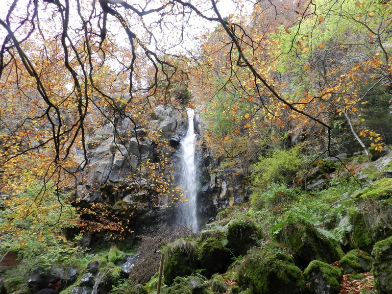 Randonnée Cascade du Devez, circuit long. Sentier inaccessible (Exploitation forestière ONF en cours) · Curières