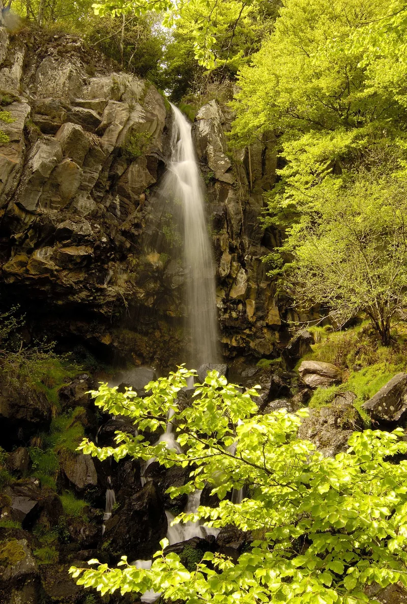 Randonnée Cascade du Devez, circuit court, sentier inaccessible pour cause de travaux forestiers · Curières