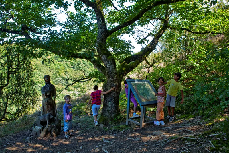 Randonnée Sentier de l'imaginaire - La Forêt magique · Taussac