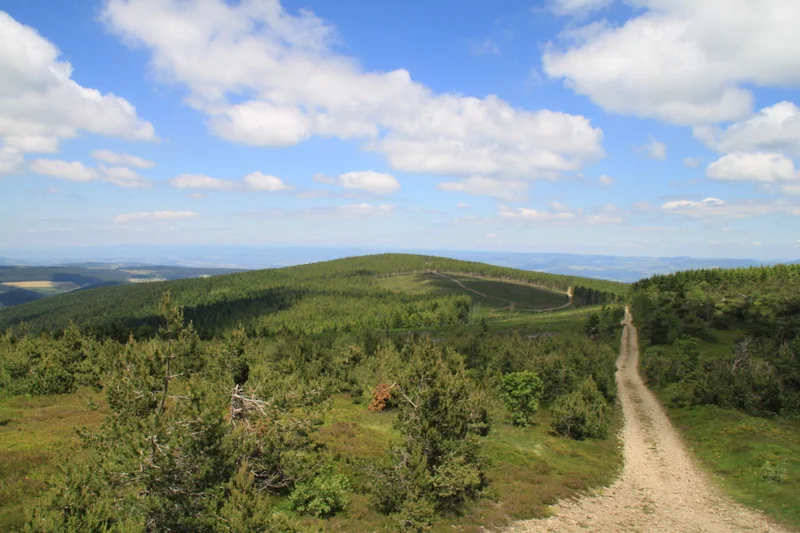 Randonnée Le Mont Mouchet - Parcours N° 16 · Paulhac-en-Margeride