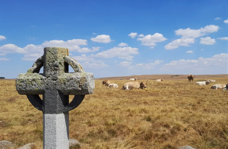 Randonnée Le Chemin de Saint-Guilhem par le GR®6 variante des Gorges du Tarn (d'Aumont-Aubrac aux Vignes) · Peyre en Aubrac