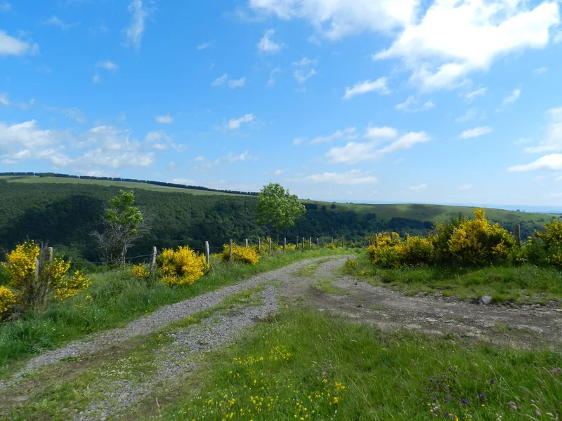 Randonnée La croix du Pal · Curières