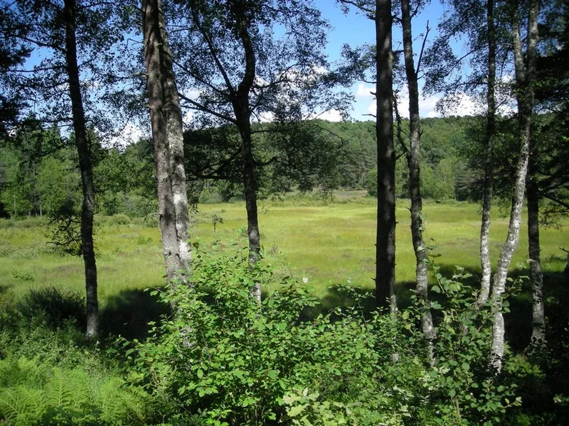 Randonnée Sentier d'interprétation de la Vergne des Mazes · Lieutadès