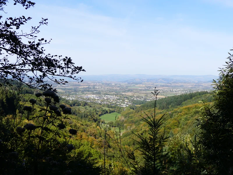 Randonnée La forêt des Palanges · Laissac