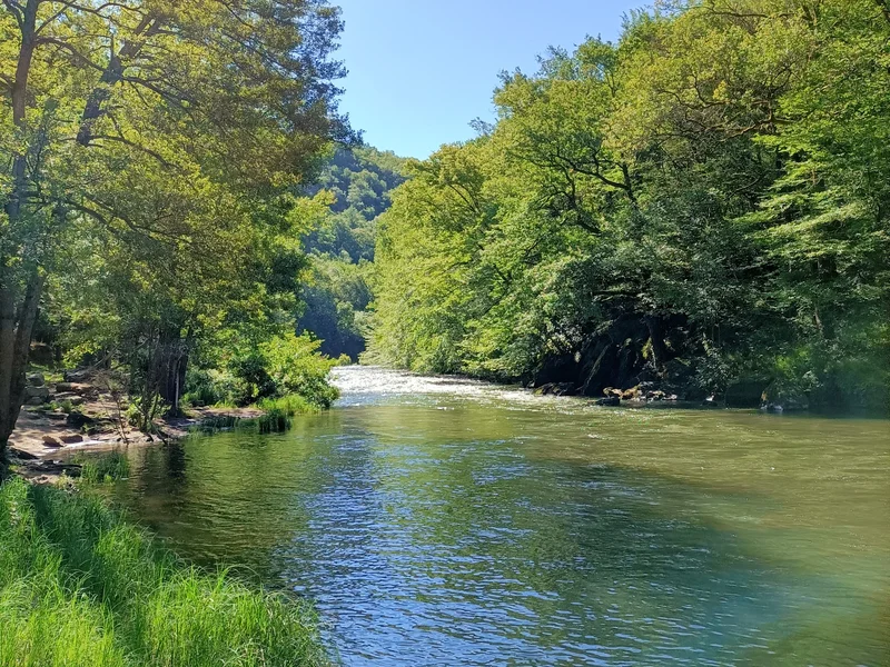 Randonnée Sentier ENS Basse Vallée du Viaur · Bar