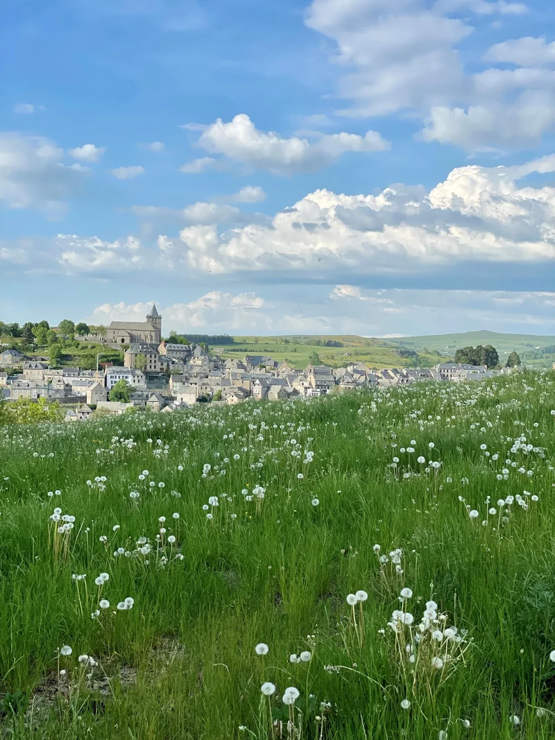 Randonnée Le Puech du loup · Laguiole