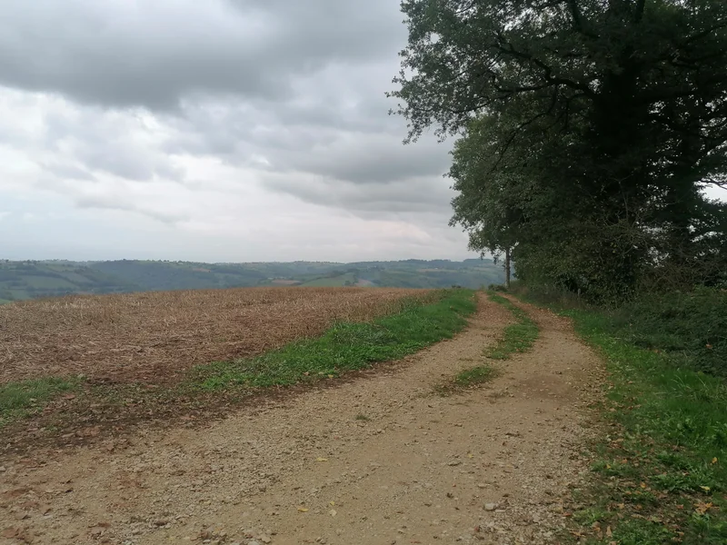 Randonnée Le chemin des deux tilleuls · Rignac