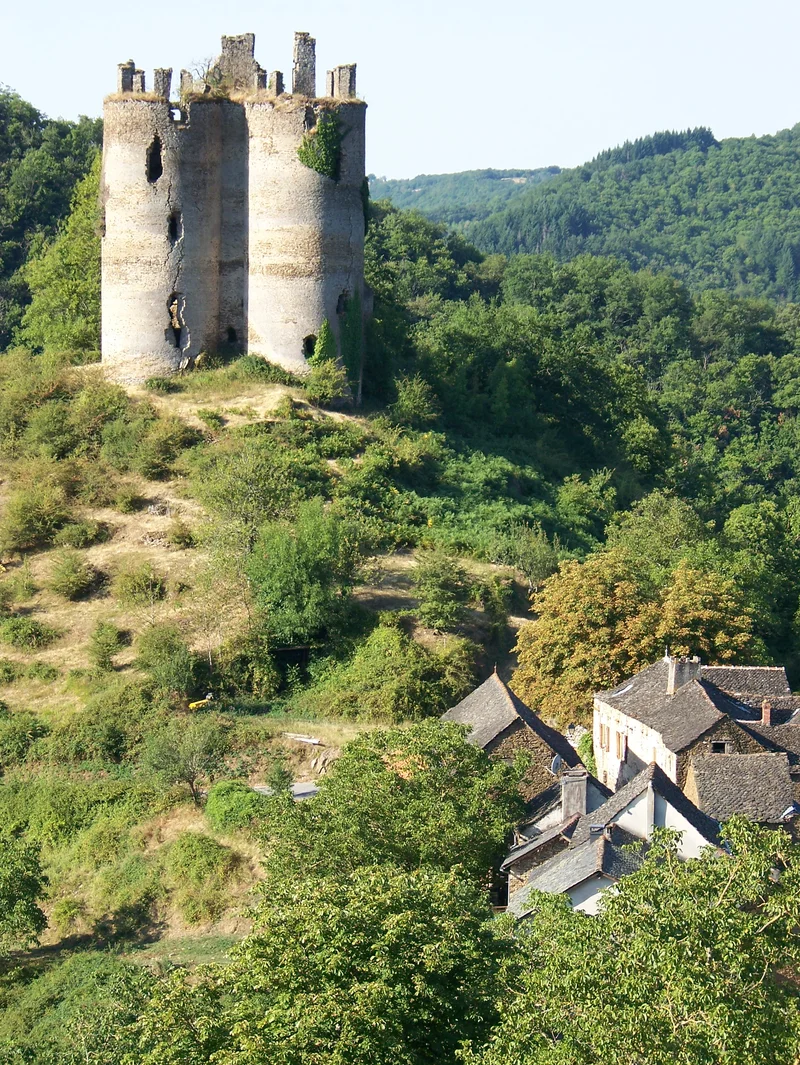 Randonnée Autour du Château de Roumégous · La Salvetat-Peyralès