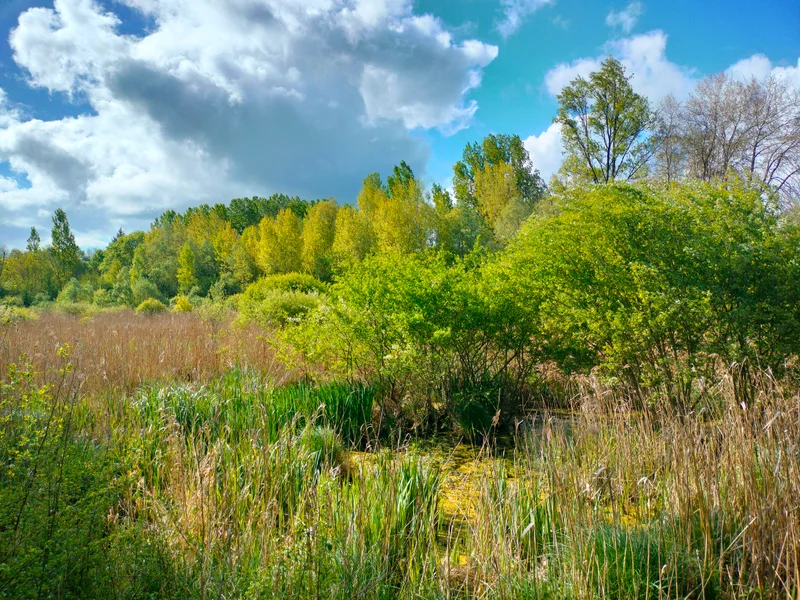 Randonnée Marais de Montaris - ENS · Salles-Courbatiès
