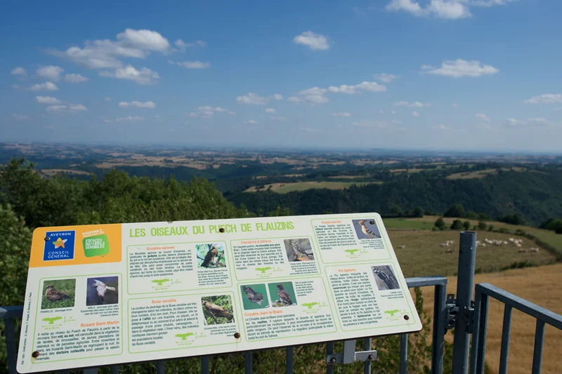 Randonnée Puech de Flauzins - ENS · Lescure-Jaoul