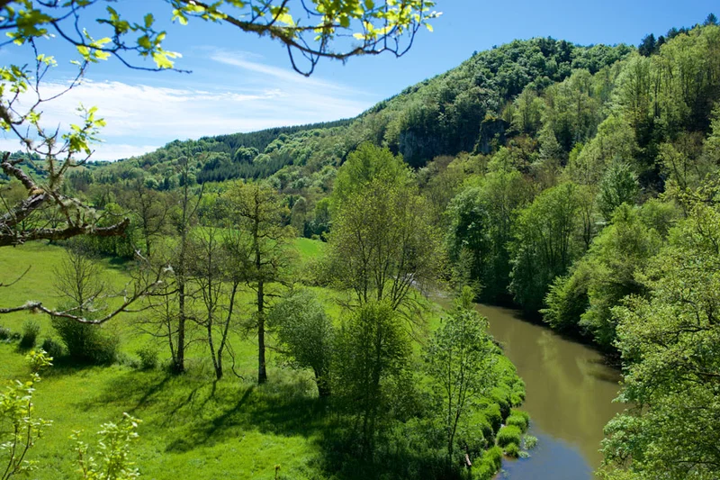 Randonnée Bois de Linars - Sentier ENS · Olemps
