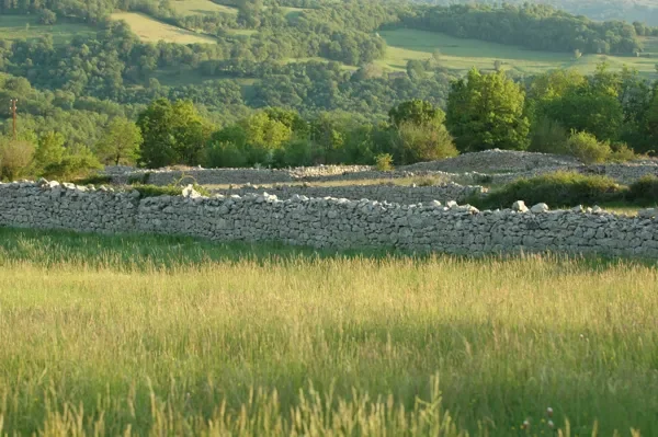 Randonnée Mouret - Entre Causse et Rougier · Mouret