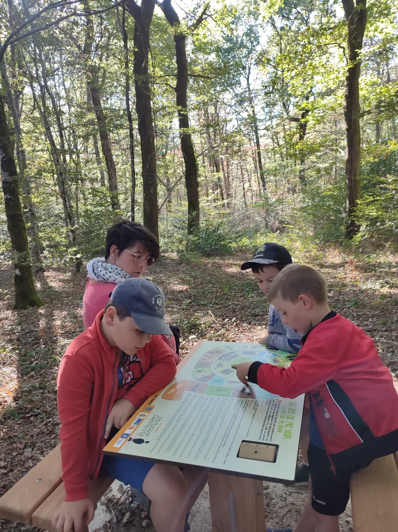 Randonnée Sentier d'interprétation du Bois du Bruel · Le Bas Ségala