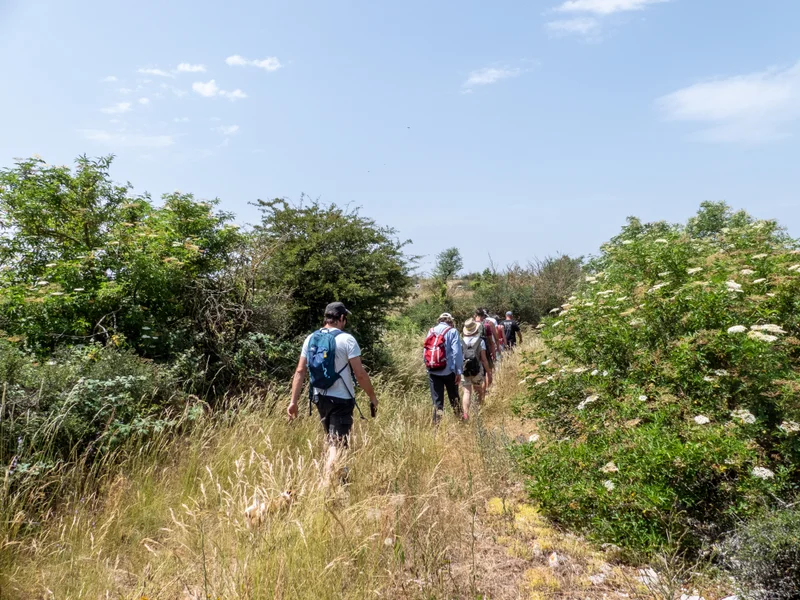 Randonnée GR® de Pays Tour du Larzac Méridional - Tour sur les pentes de la Séranne · La Vacquerie-et-Saint-Martin-de-Castries