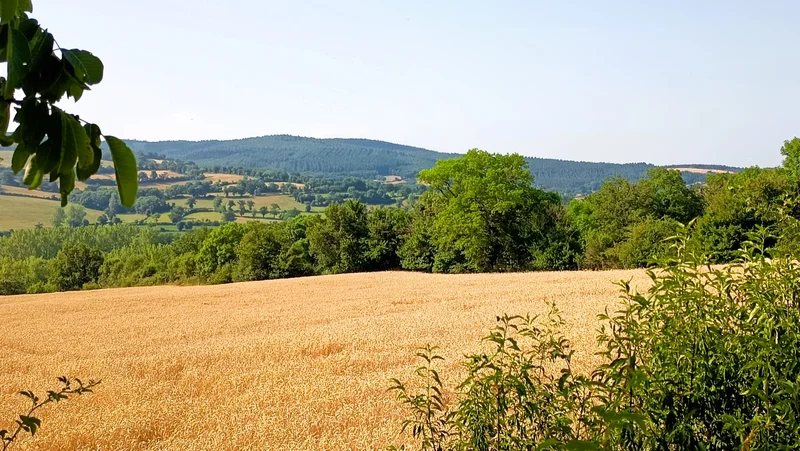 Randonnée Gages : entre causse et vallée · Gages-Montrozier