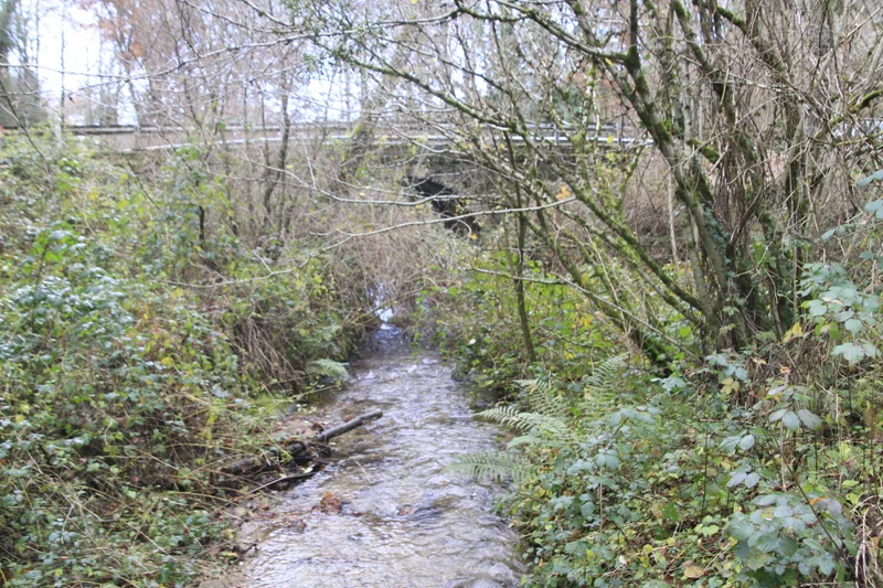Randonnée Les trois bras du Jaoul · La Capelle-Bleys
