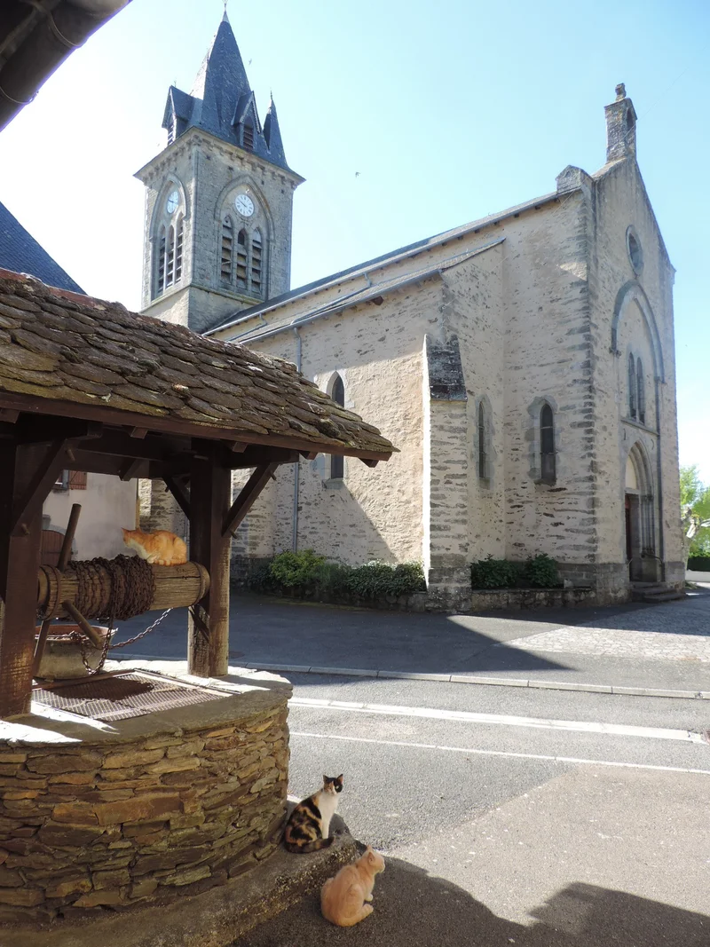 Randonnée La vallée du Vernhou et Campels (variante) · La Salvetat-Peyralès
