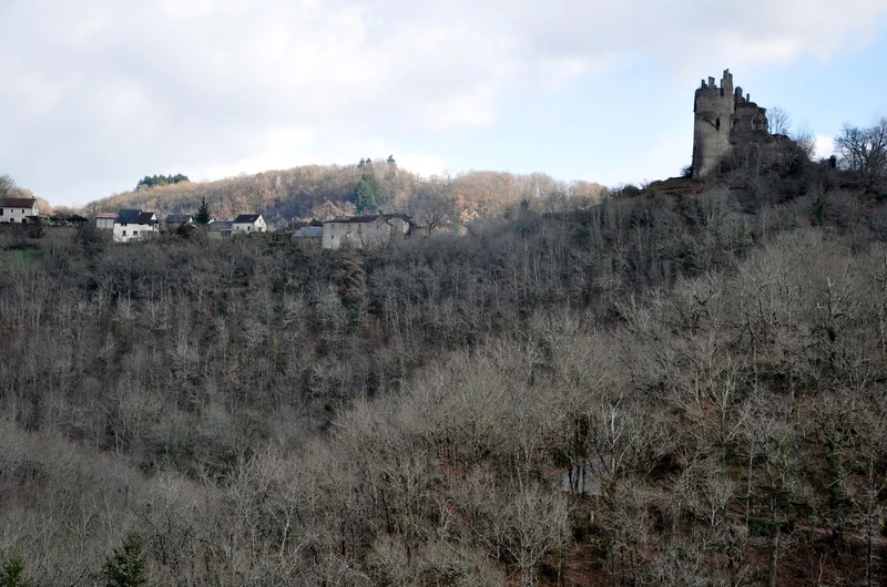 Randonnée Les vallées du Jaoul et du Viaur (variante) · La Salvetat-Peyralès