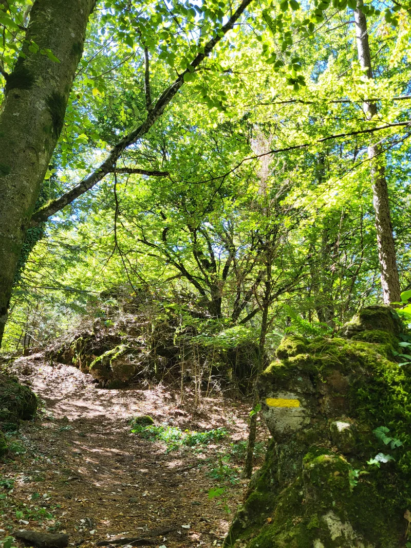 Randonnée La Haute Vallée de La Lergue · Saint-Félix-de-l'Héras